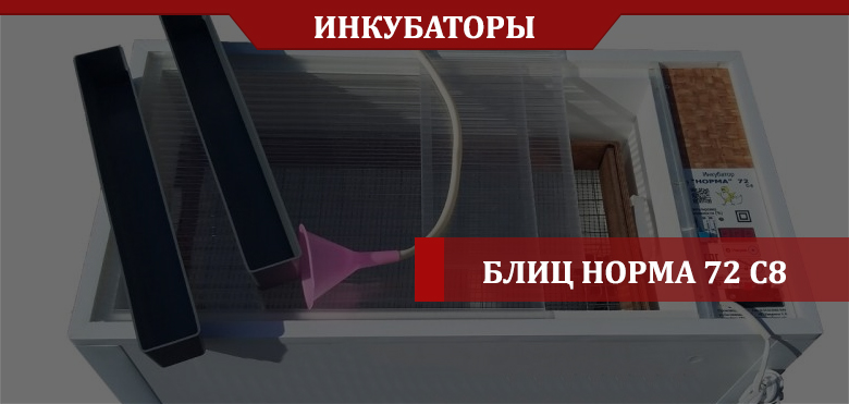 Блиц Норма 72 С8: полезная информация для птицевода Блиц Норма 72 С8: полезная информация для птицевода