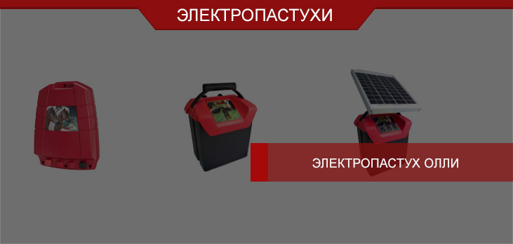 Электропастух Олли: организованный выпас при любых обстоятельствах