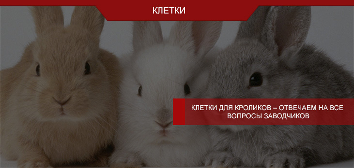 Клетки для кроликов – отвечаем на все вопросы заводчиков