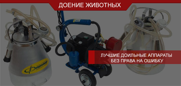 Лучшие доильные аппараты без права на ошибку