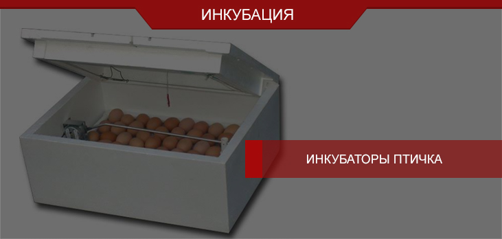 Инкубаторы Птичка от производителя Схемотехника