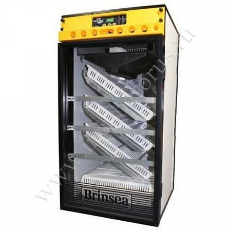 Инкубатор OVAEASY 380 ADVANCE EX S1 (НН)