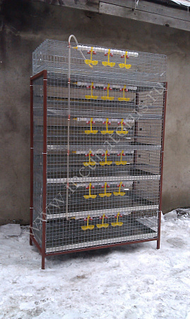 Клетка для перепелов 300 голов (6 ярусов) (КП-300-6я)