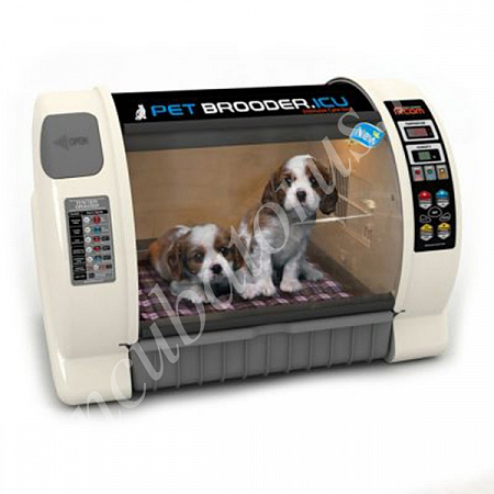 Брудер-павильон Rcom Pet Brooder (ICU) S