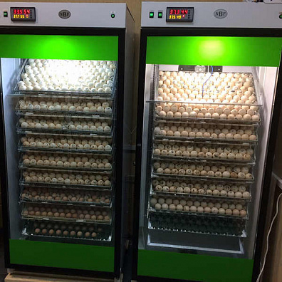 Инкубатор NBF 1500 профессиональный фермерский