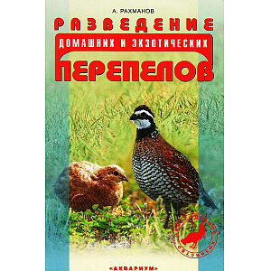 Разведение домашних и экзотических перепелов