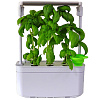 Гидропонная установка HobbyFarm Mini 6 ячеек с фитолампой