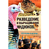 Разведение и выращивание индюков, перепелок и цесарок