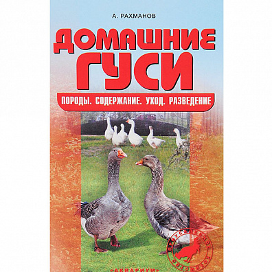 Домашние гуси. Породы. Содержание. Уход. Разведение
