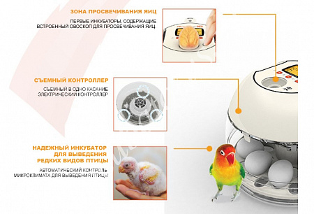 Инкубатор R-com 10 Pro Plus