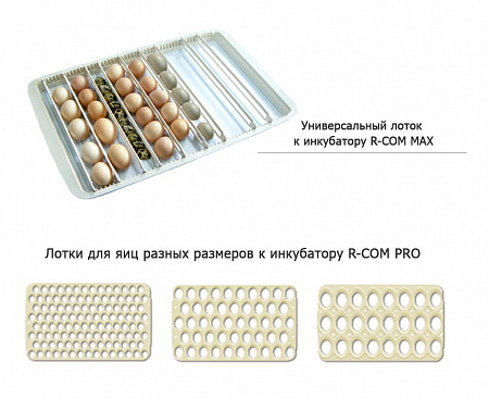Инкубатор R-com 50 Pro