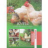 Куры. Разведение и уход
