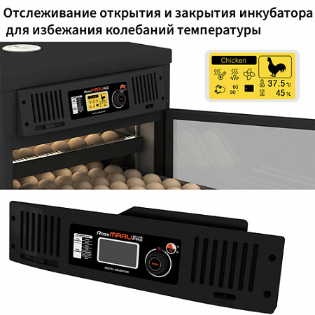Инкубатор Rcom Maru 200 Deluxe Pro